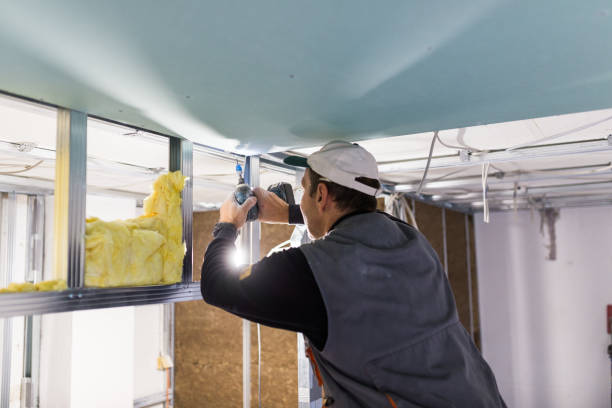 Best Cellulose Insulation  in Taft, TX