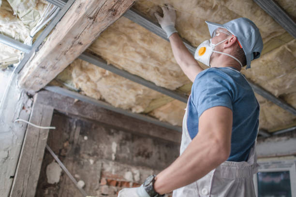 Best Soundproof Insulation Installation  in Taft, TX