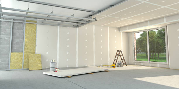 Best Cellulose Insulation  in Taft, TX