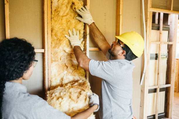 Best Wall Insulation Contractor  in Taft, TX