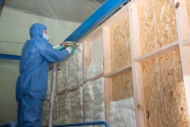 Best Crawl Space Insulation  in Taft, TX
