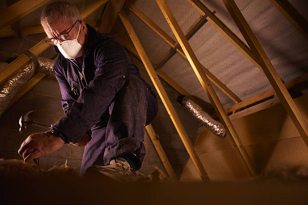 Trusted Taft, TX Insulation Contractor Experts